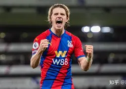 克里斯特尔宫客场挫败,战绩下滑的简单介绍 克里斯特尔宫客场挫败,战绩下滑的简单介绍